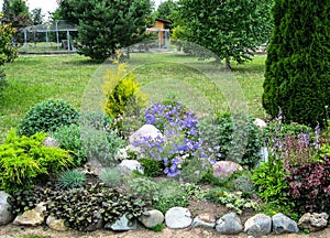 A flower bed in the garden.